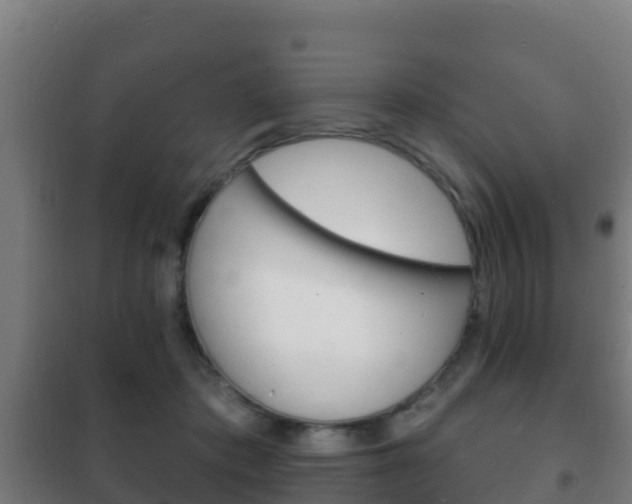 X0000102230413200807250814