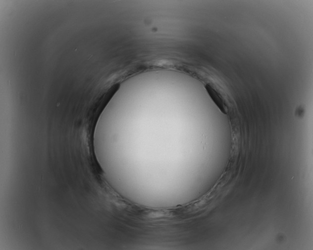 X0000102230415200807250814