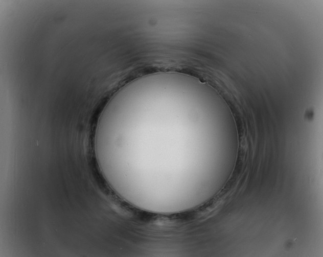 X0000102230416200807250814