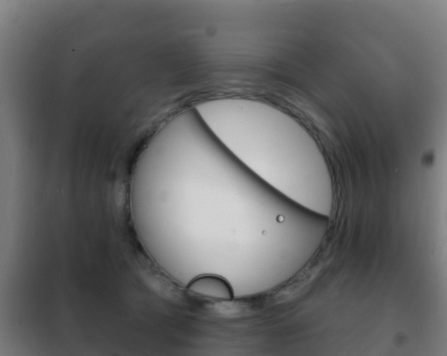 X0000102230417200807250814