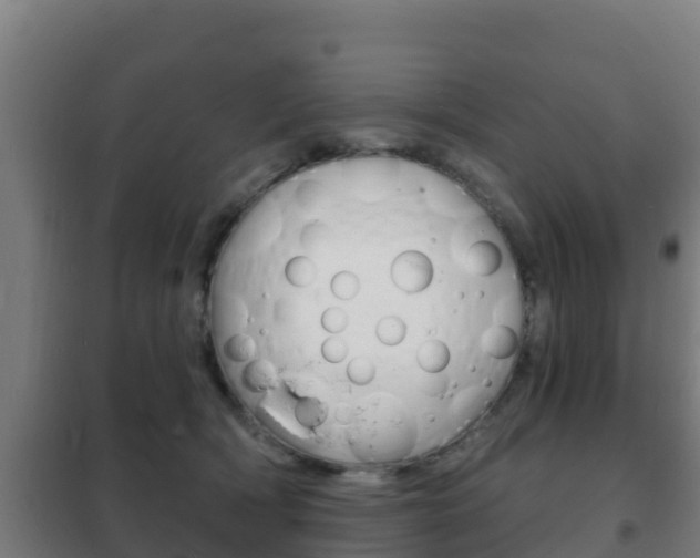 X0000102230418200807250814