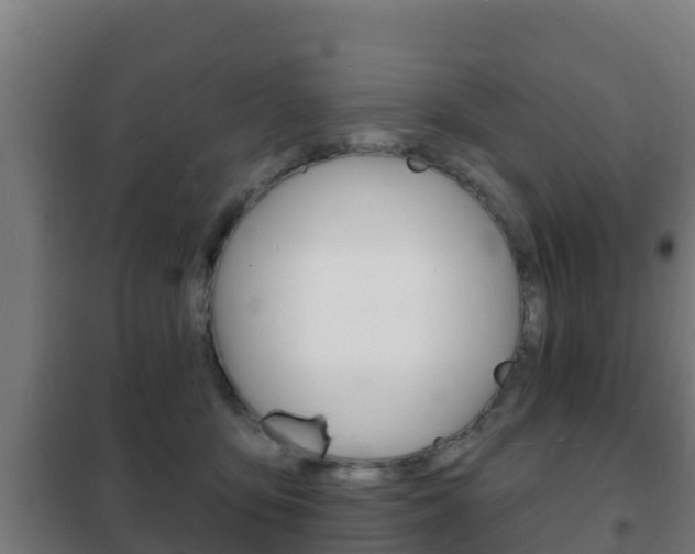 X0000102230419200807250814