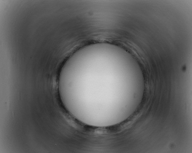 X0000102230420200807250814