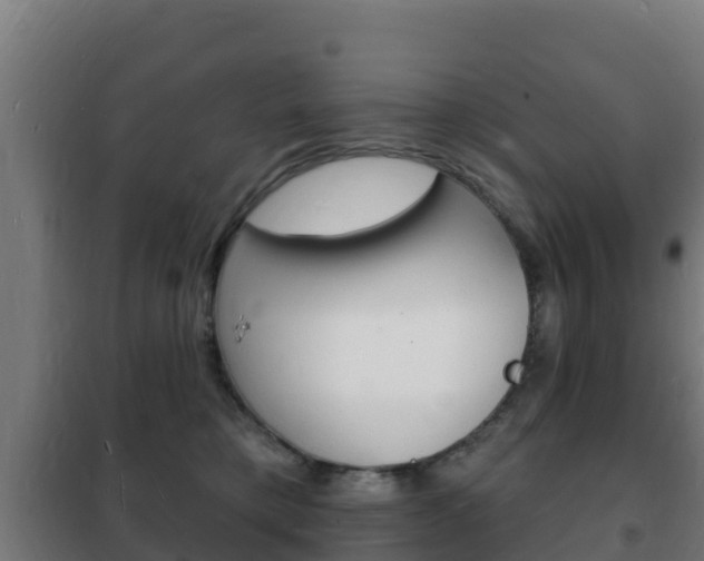 X0000102230421200807250813