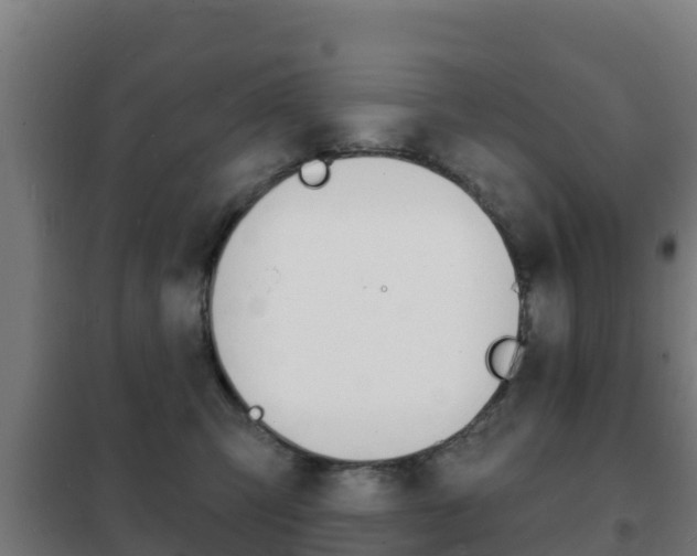 X0000102230423200807250813