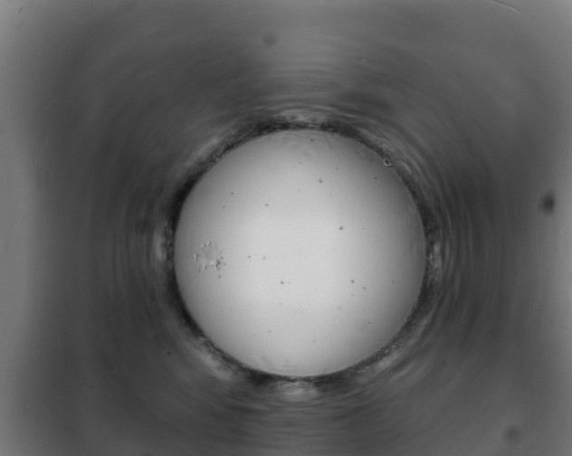 X0000102230424200807250813