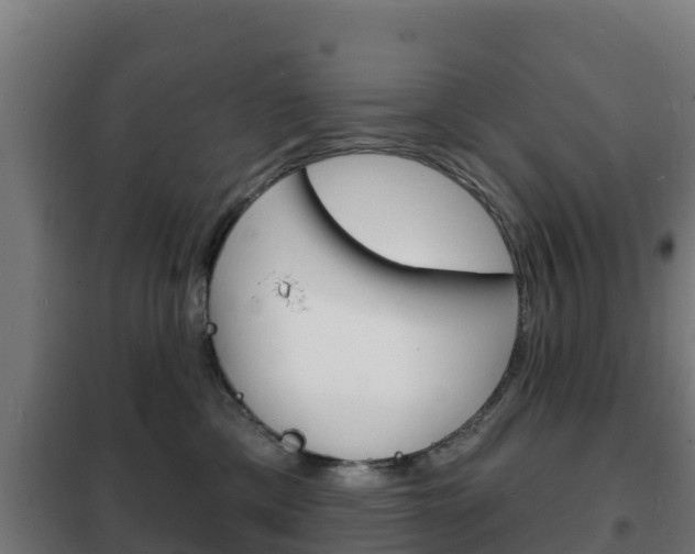 X0000102230425200807250813