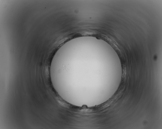 X0000102230426200807250813