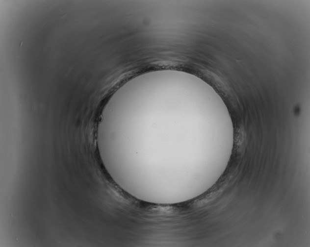 X0000102230428200807250813