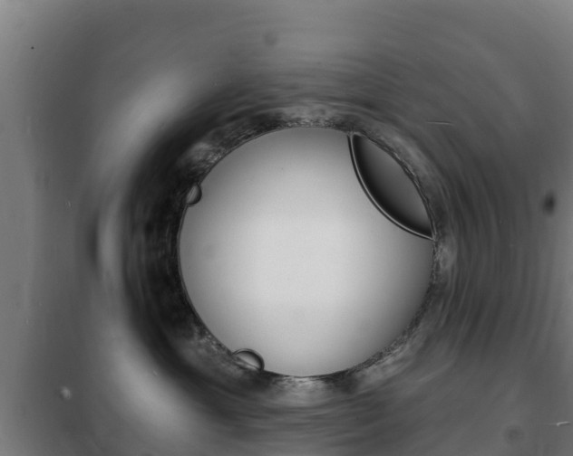 X0000102230429200807250813