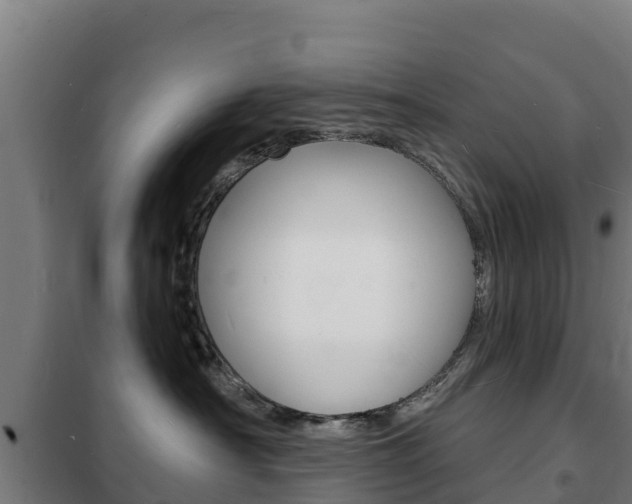 X0000102230430200807250813