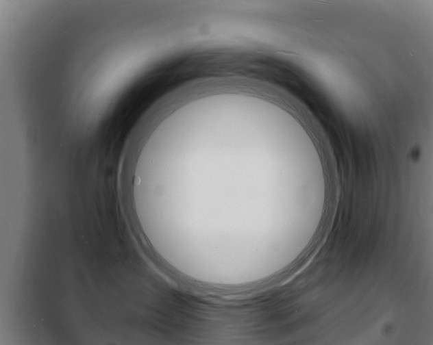 X0000102230431200807250813