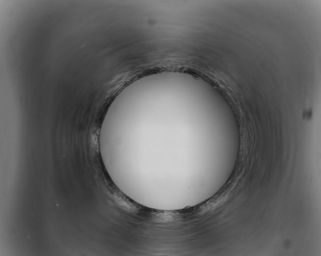 X0000102230432200807250813