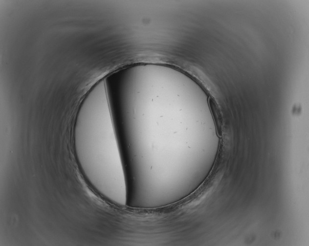 X0000102230433200807250813