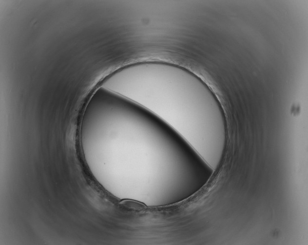 X0000102230434200807250813