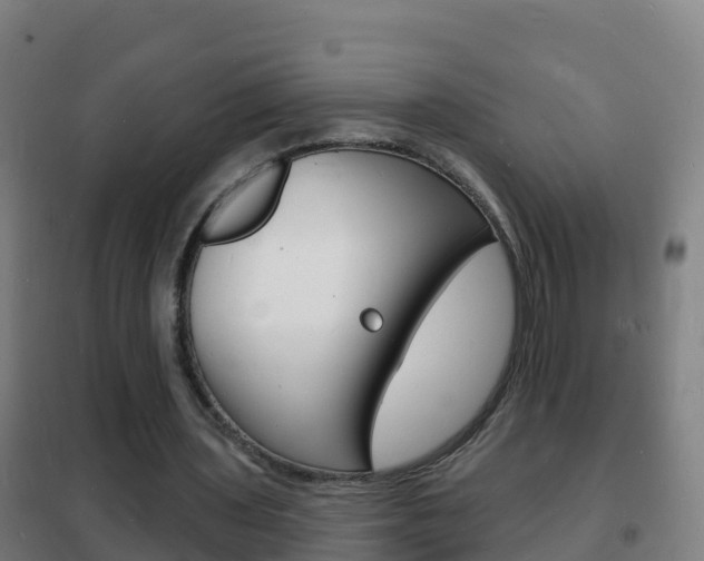X0000102230435200807250813