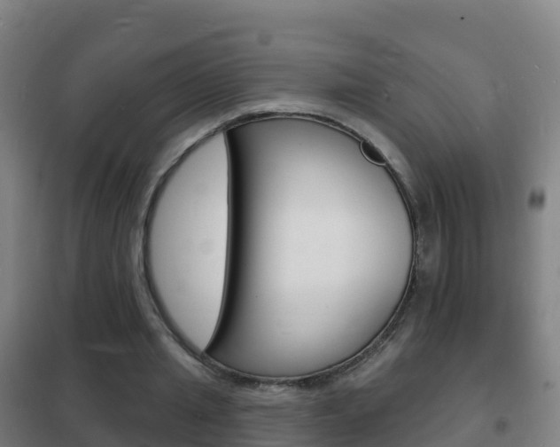 X0000102230437200807250813
