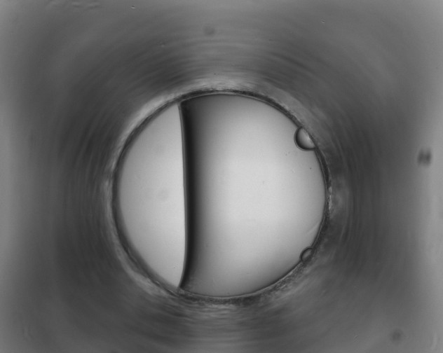 X0000102230438200807250813