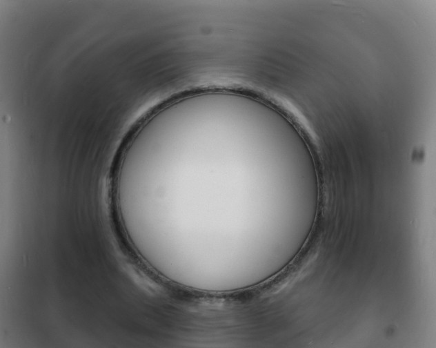 X0000102230439200807250813