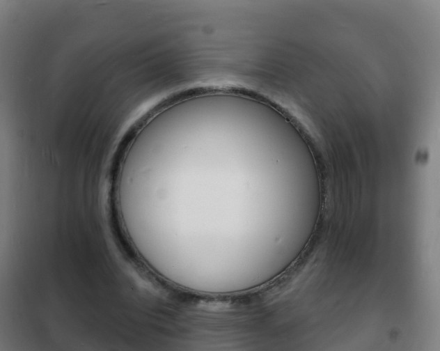 X0000102230440200807250813