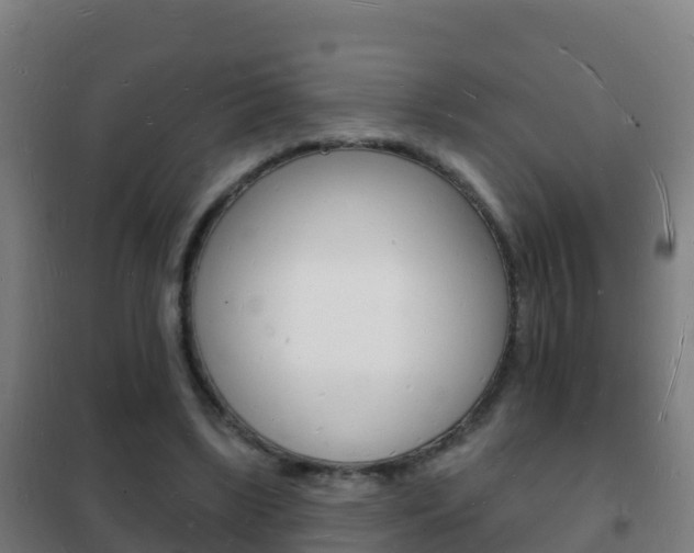 X0000102230443200807250813
