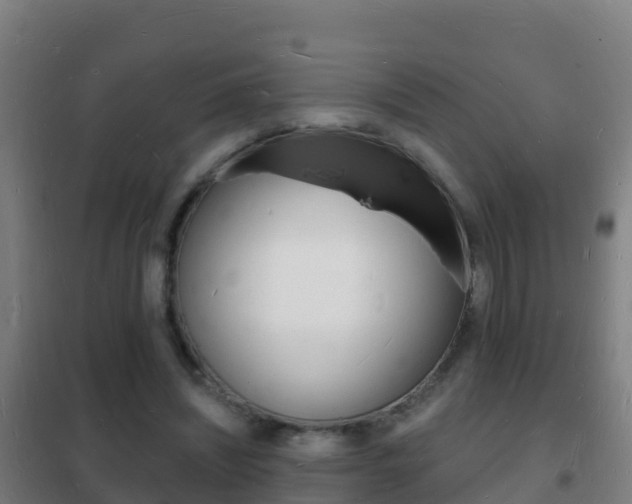 X0000102230444200807250813
