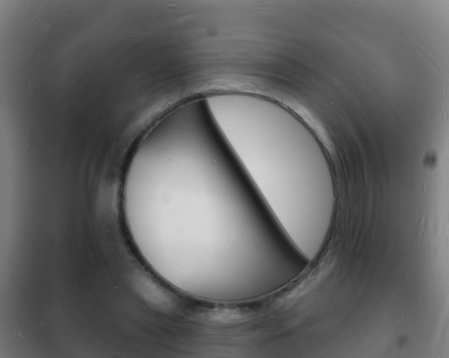 X0000102230445200807250813