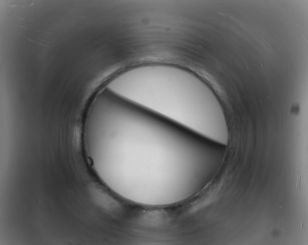 X0000102230446200807250813