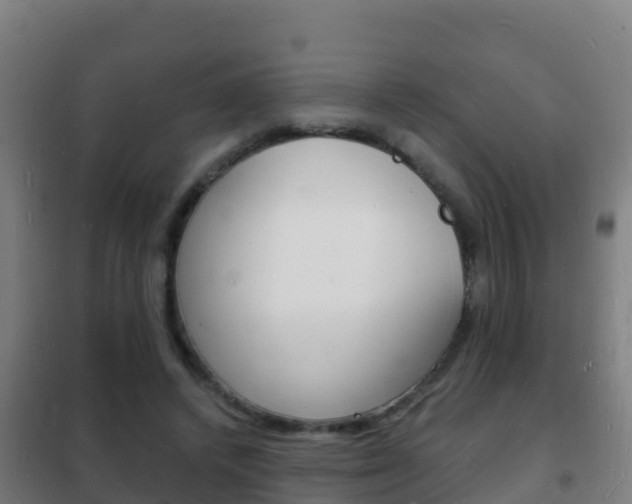 X0000102230448200807250813