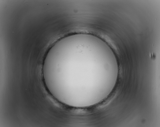 X0000102230449200807250813