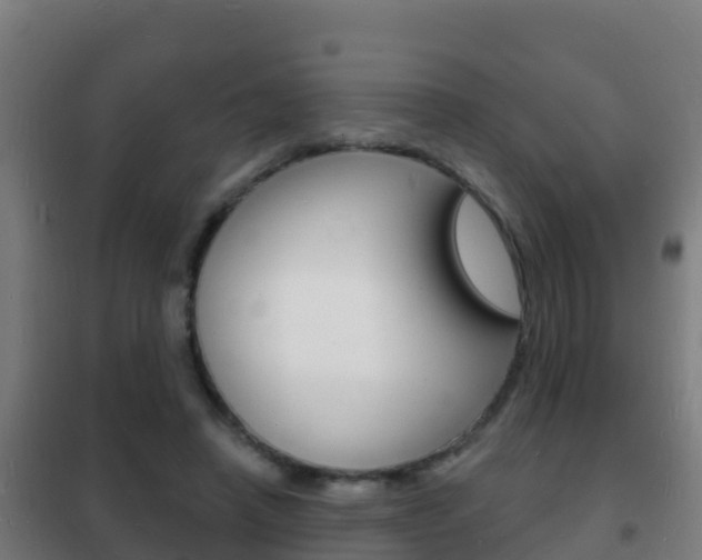 X0000102230450200807250813