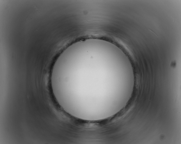 X0000102230451200807250813