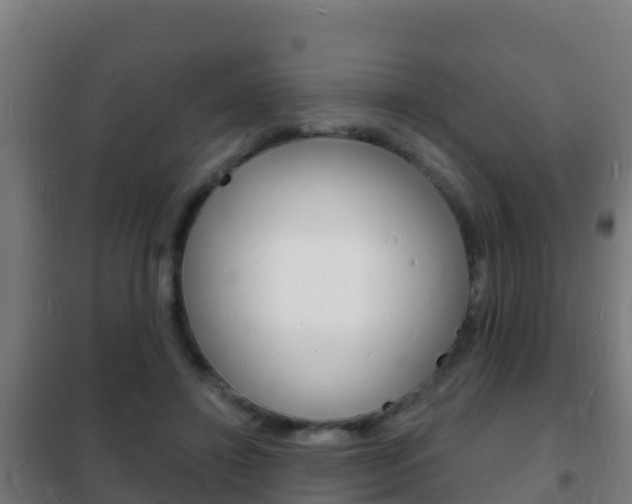 X0000102230452200807250813