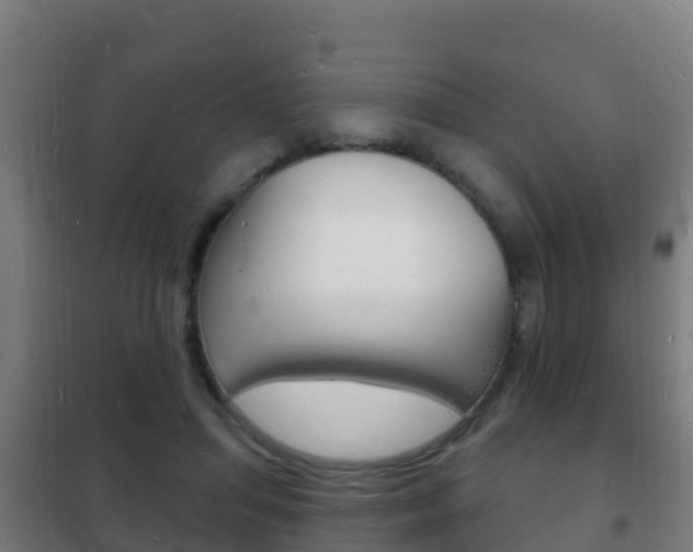 X0000102230455200807250813