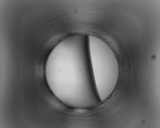 X0000102230457200807250813