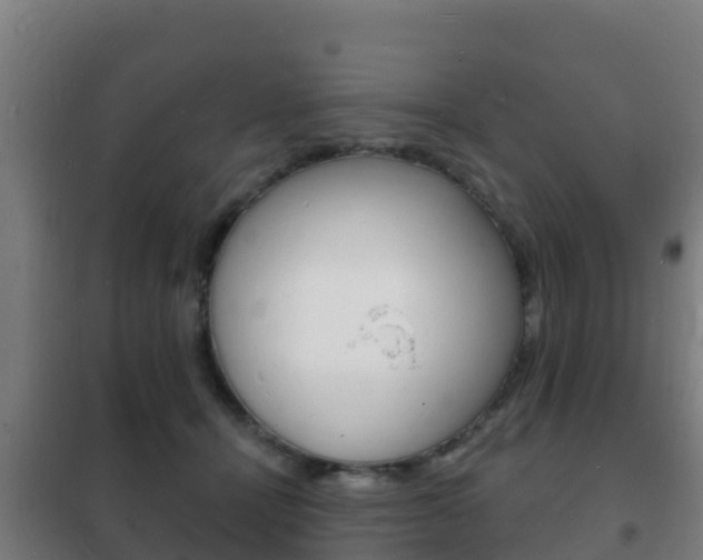 X0000102230464200807250813