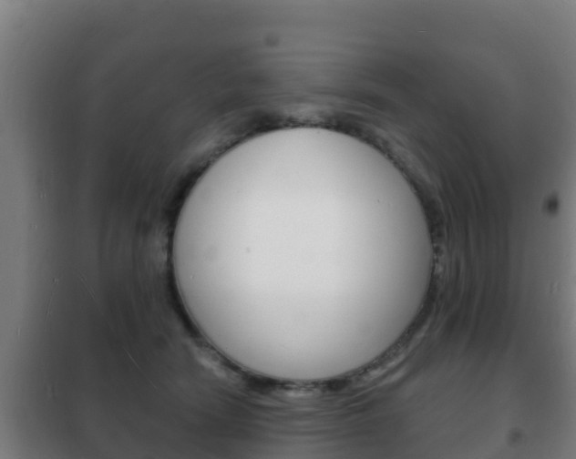 X0000102230466200807250813