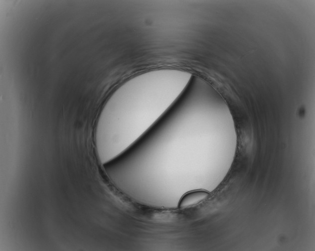 X0000102230470200807250813