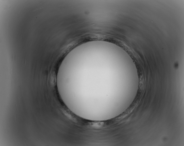 X0000102230474200807250813