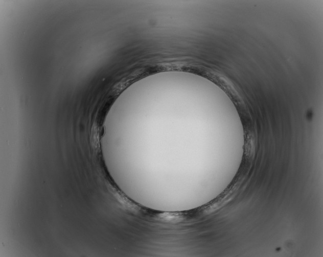 X0000102230477200807250813