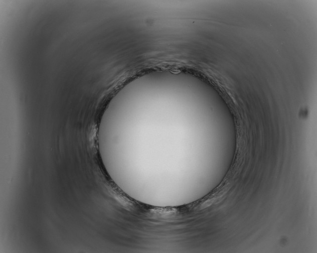 X0000102230480200807250813