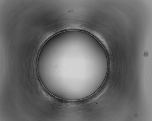 X0000102230481200807250813