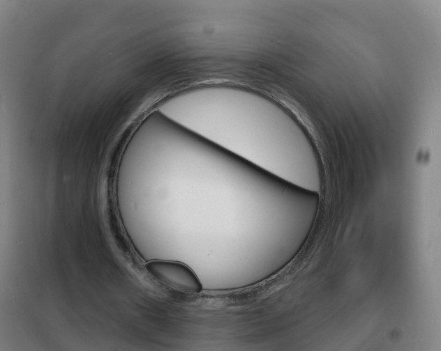 X0000102230482200807250813
