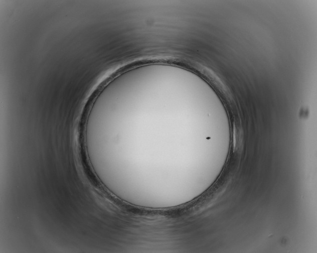 X0000102230483200807250813