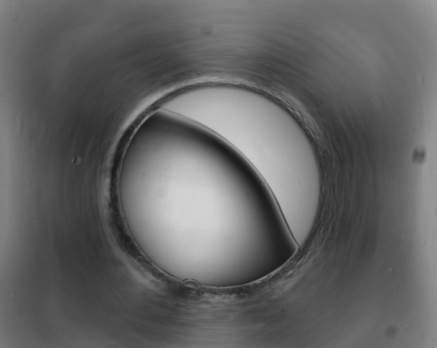 X0000102230484200807250813