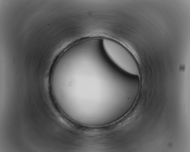 X0000102230485200807250813
