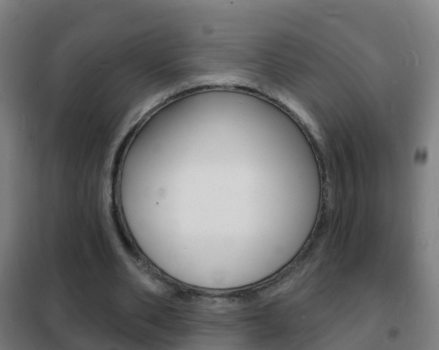 X0000102230486200807250813