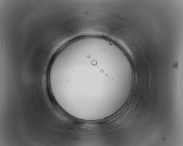 X0000102230487200807250813