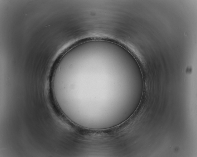 X0000102230488200807250813