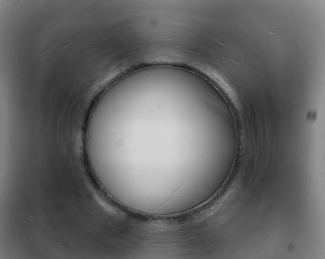 X0000102230489200807250812